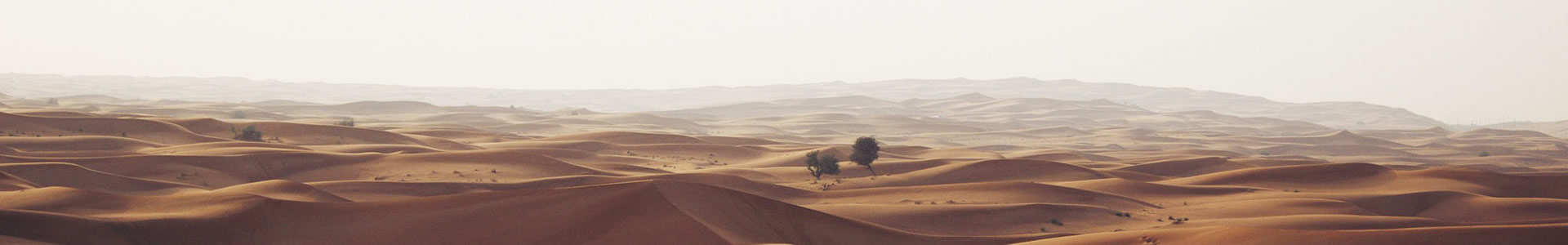 ذ޹˾